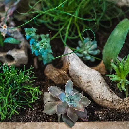 Borgo Bed & Breakfast 3*