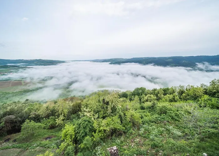 博尔戈别墅住宿加早餐旅馆 3*